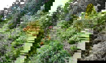 fletcher moss gardens rockery green space in manchester