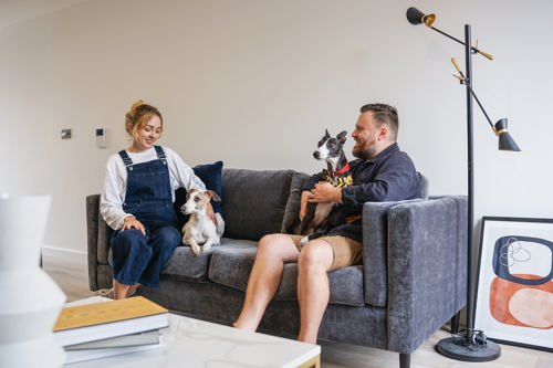 Apartment with residents and their pets