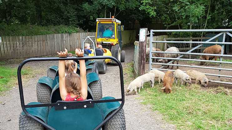 Reddish Vale Easter Family Fun