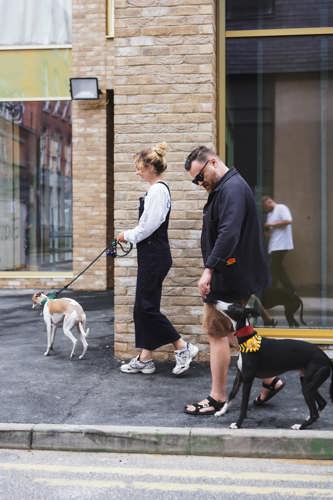 People walking their dogs in Northern Quarter, Manchester