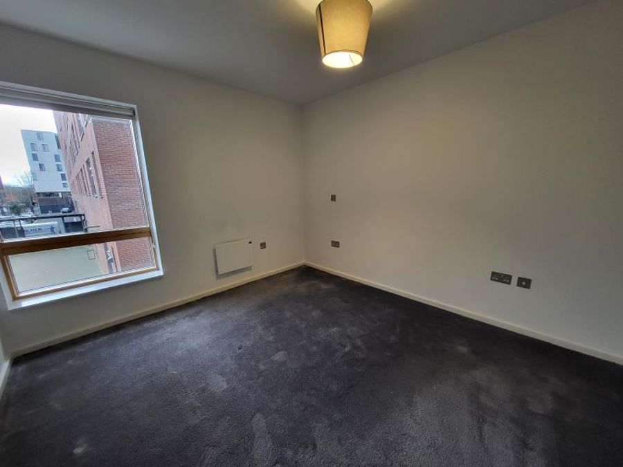 Apt 1.01 :; Ice Plant  image 7