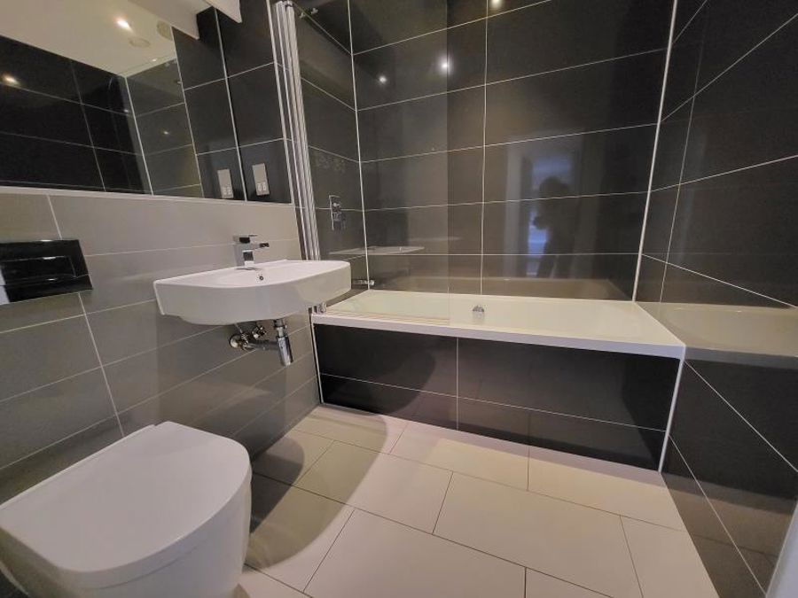 Apt 1.01 :; Ice Plant  image 8