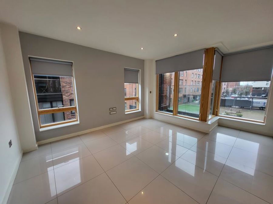 Apt 1.01 :; Ice Plant  image 9