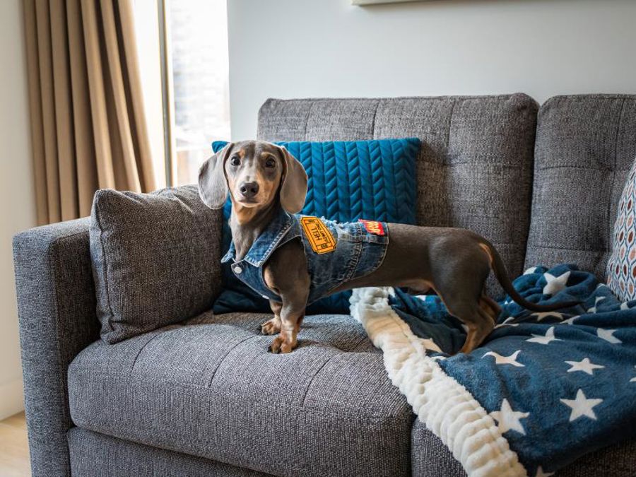 Apt 47 :: The Quarters image 2