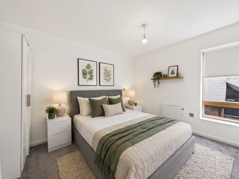 Apt 2.01 :: Ice Plant  image 4