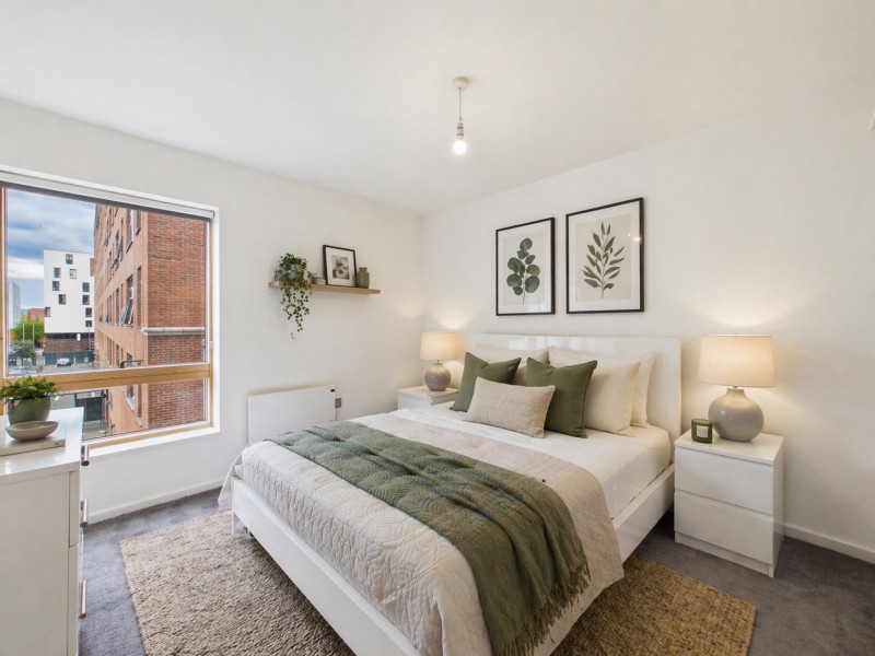 Apt 2.01 :: Ice Plant  image 7