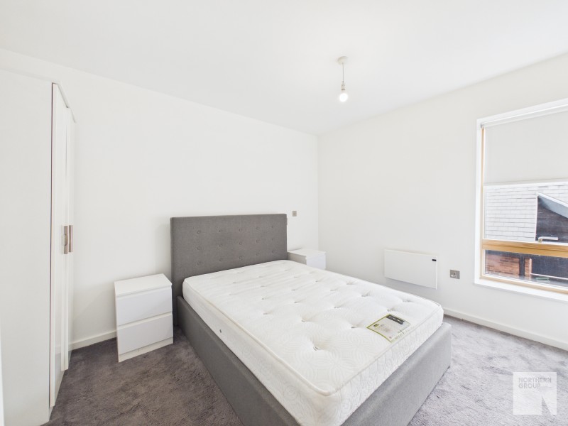 Apt 2.01 :: Ice Plant  image 10