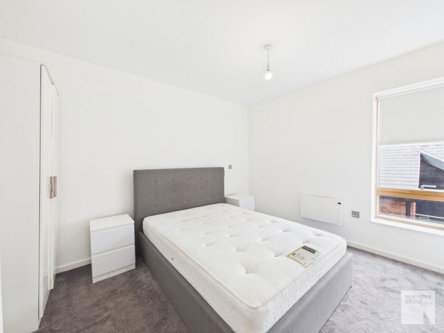 Apt 2.01 :: Ice Plant  image 10