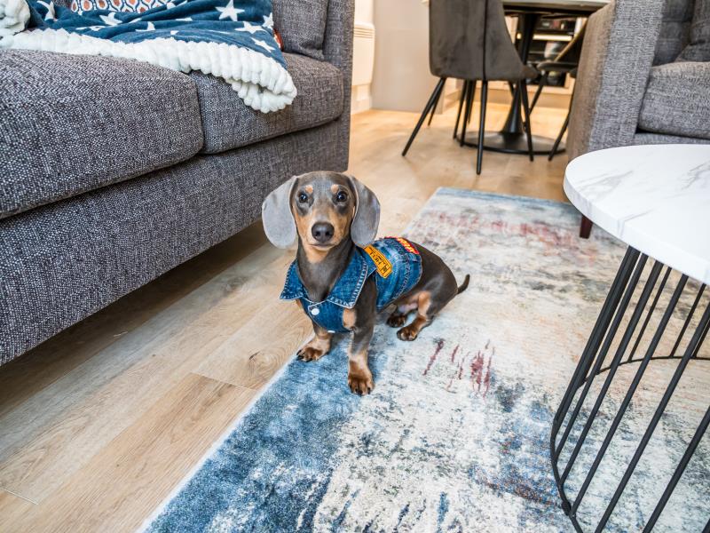 Flat 36 :: The Quarters image 2