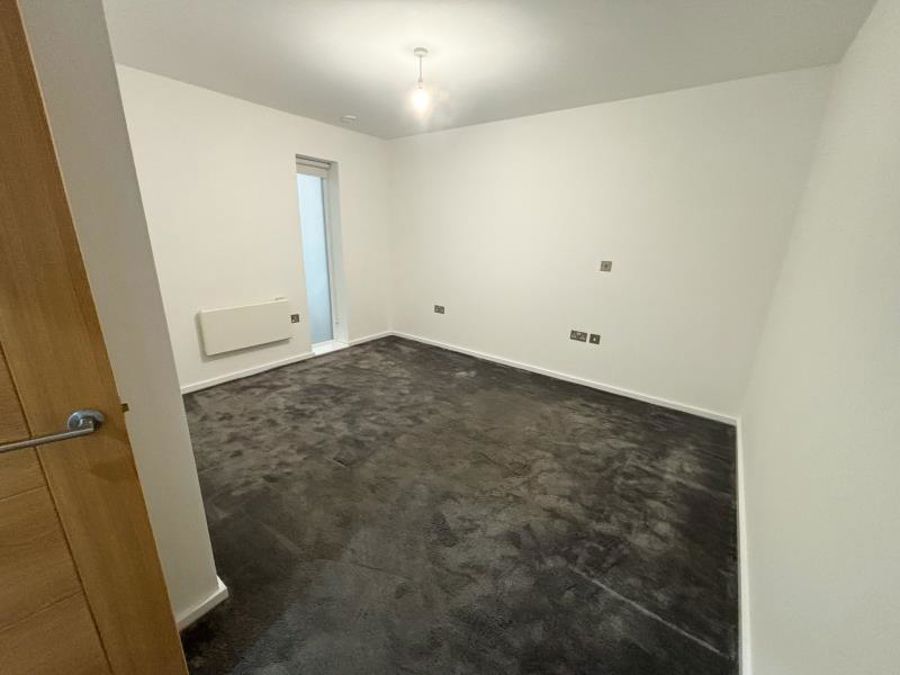 Apt 3.15 :: Ice Plant image 4