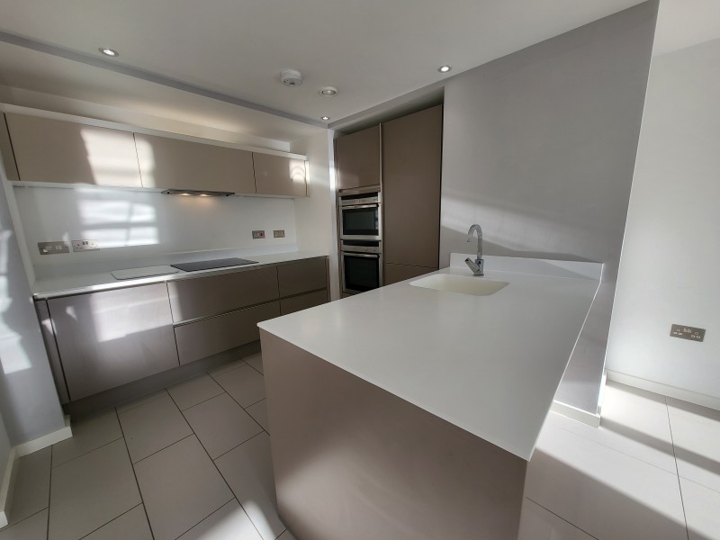 Apt 6.10 :: Ice Plant image 9