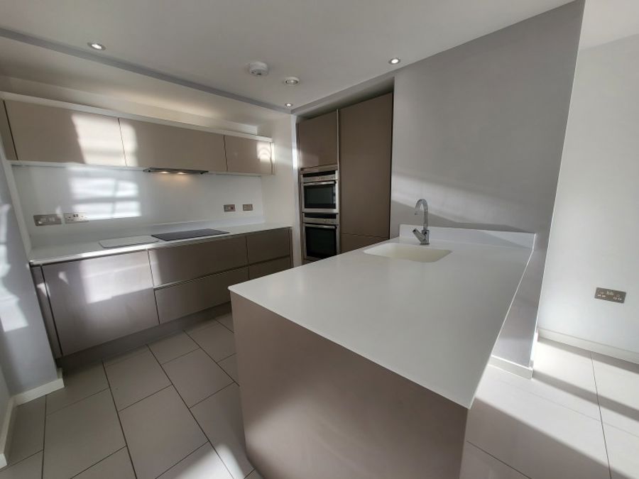 Apt 6.10 :: Ice Plant image 9