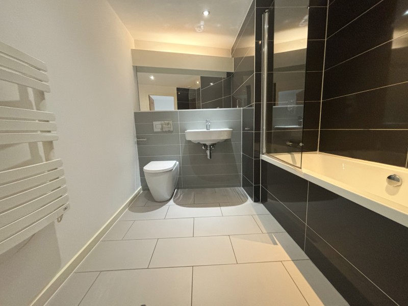 Apt 6.10 :: Ice Plant image 10