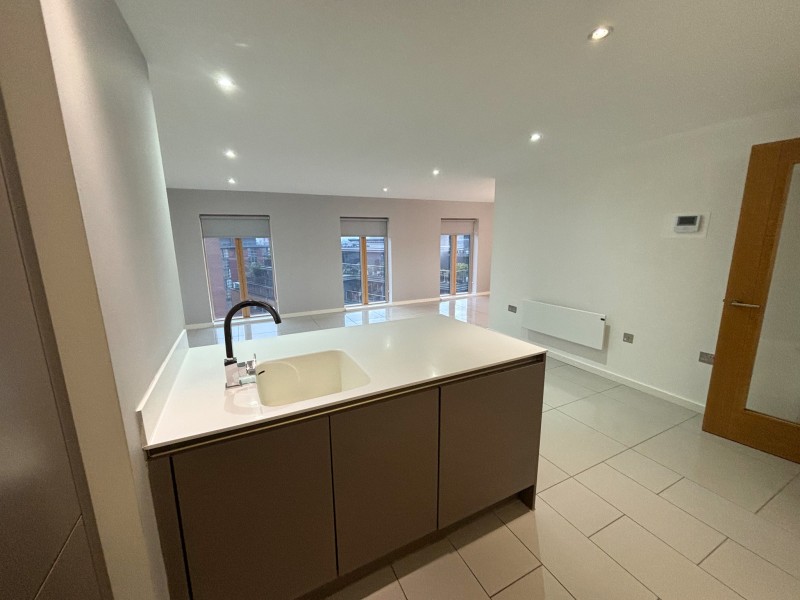 Apt 6.10 :: Ice Plant image 12