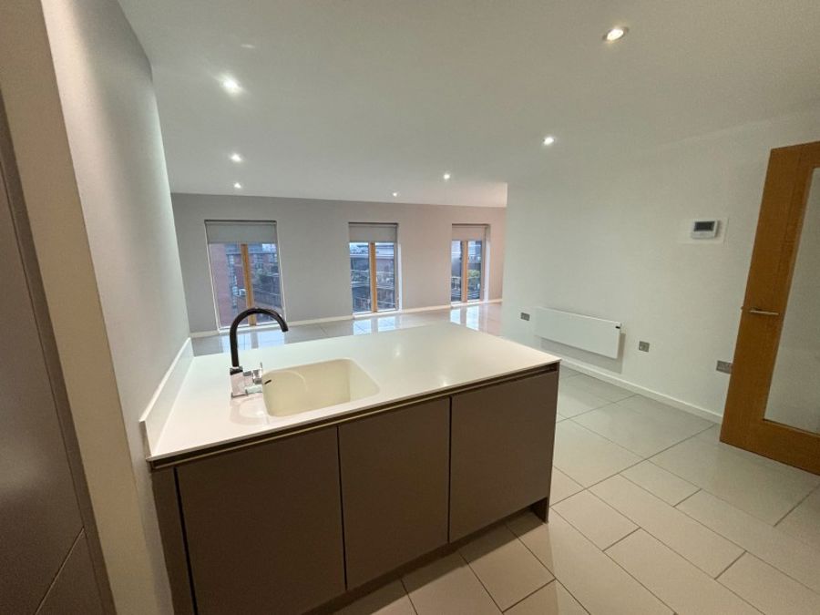 Apt 6.10 :: Ice Plant image 12