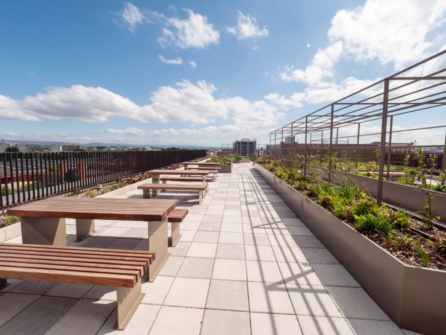 Ancoats Gardens :: NOMA image 15