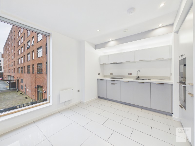 Apt 1.01 :: Ice Plant  image 2