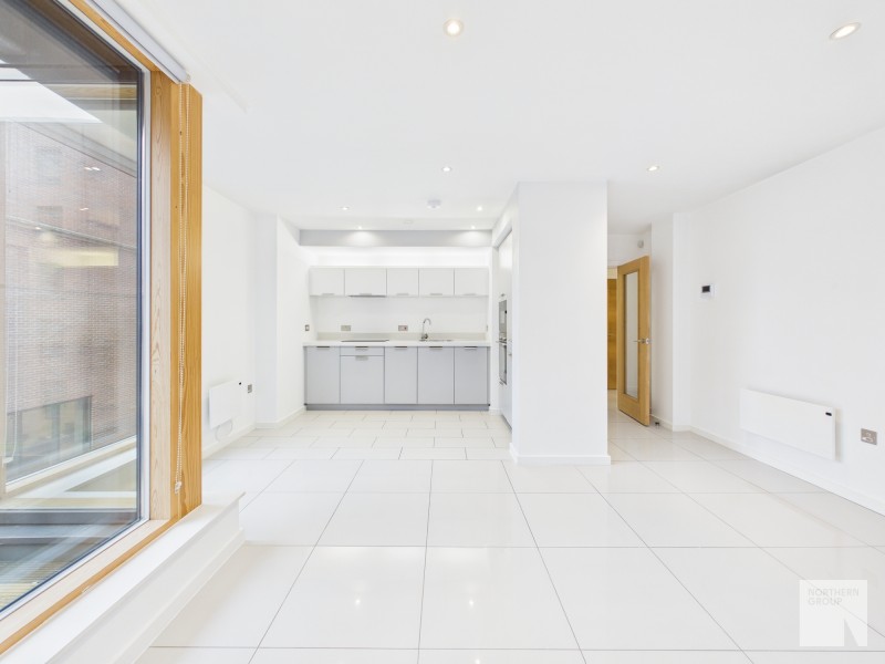 Apt 1.01 :: Ice Plant  image 3