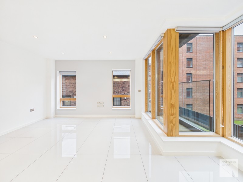 Apt 1.01 :: Ice Plant  image 4