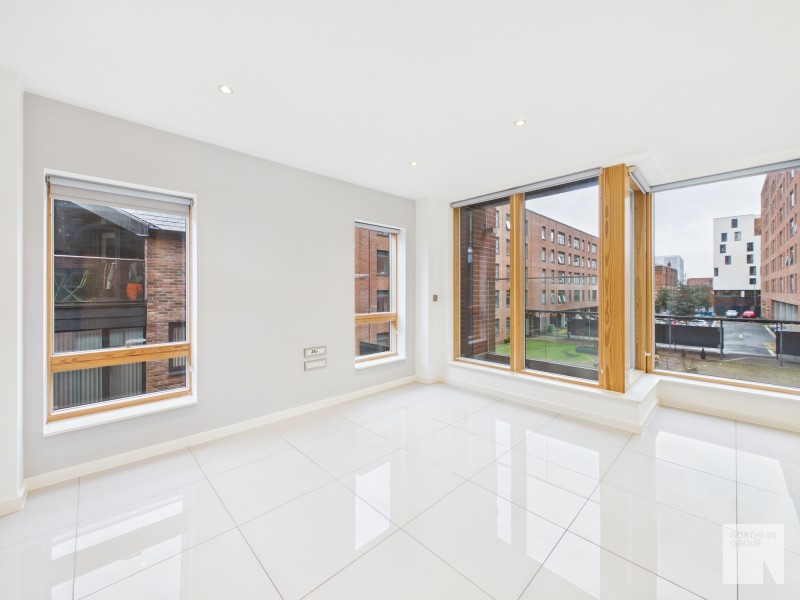 Apt 1.01 :: Ice Plant  image 6