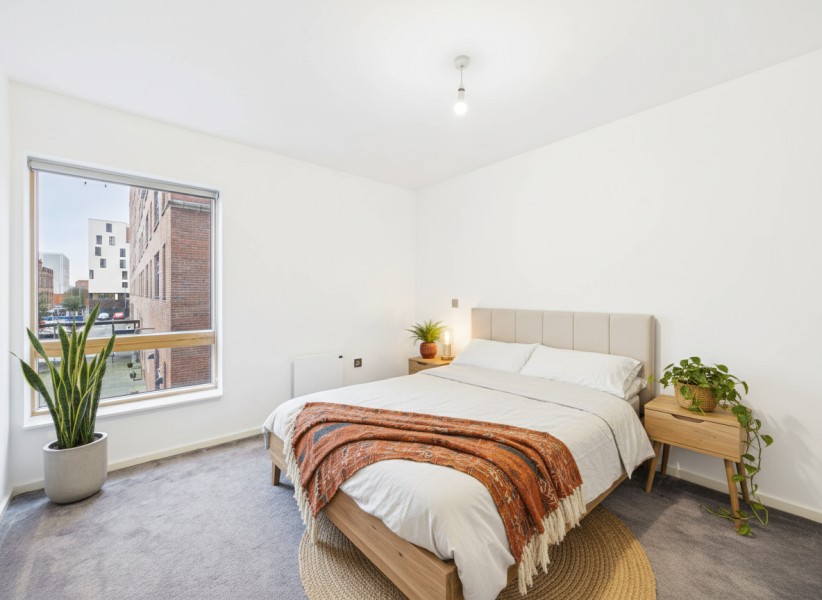 Apt 1.01 :: Ice Plant  image 7