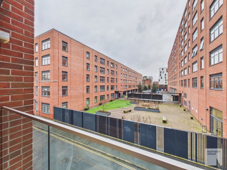 Apt 1.01 :: Ice Plant  image 8