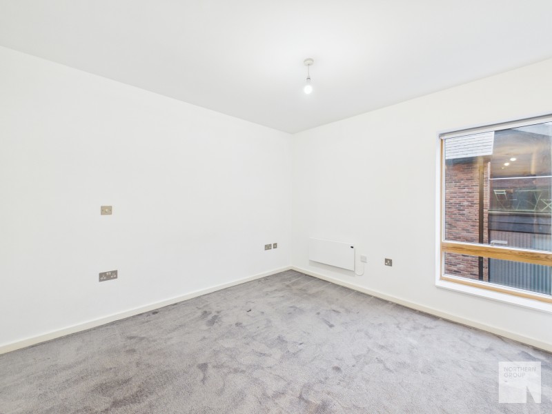 Apt 1.01 :: Ice Plant  image 11