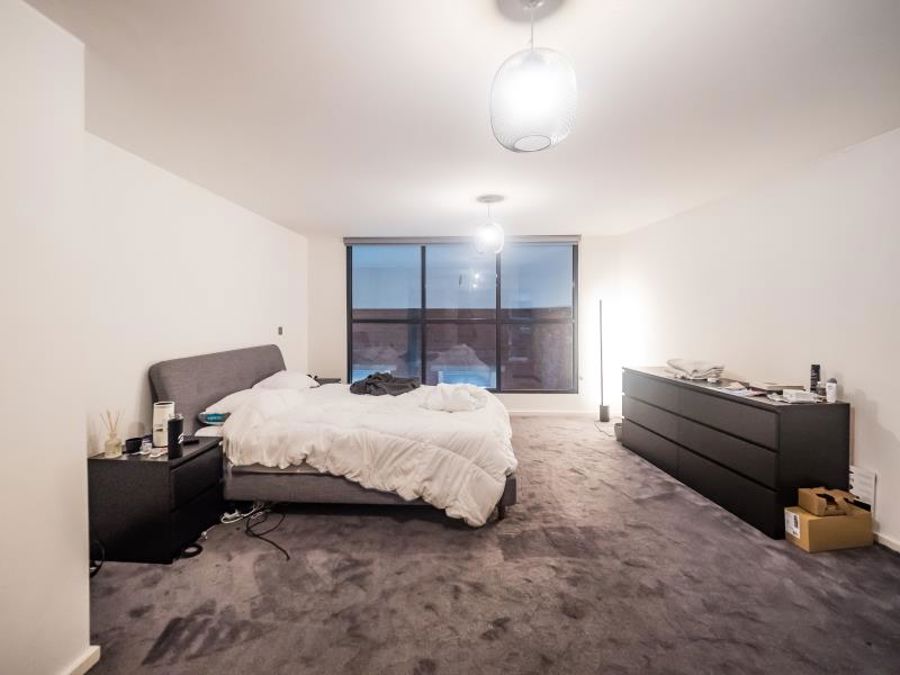 Apt 3.10 :: Ice Plant image 17