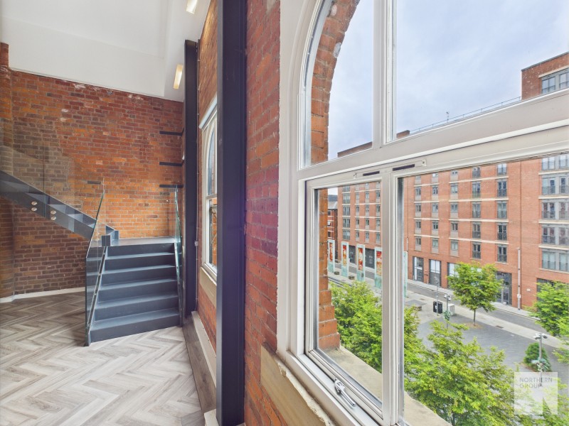 Apt 3.10 :: Ice Plant image 18