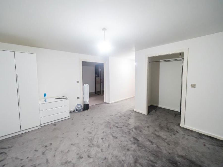 Apt 3.10 :: Ice Plant image 20