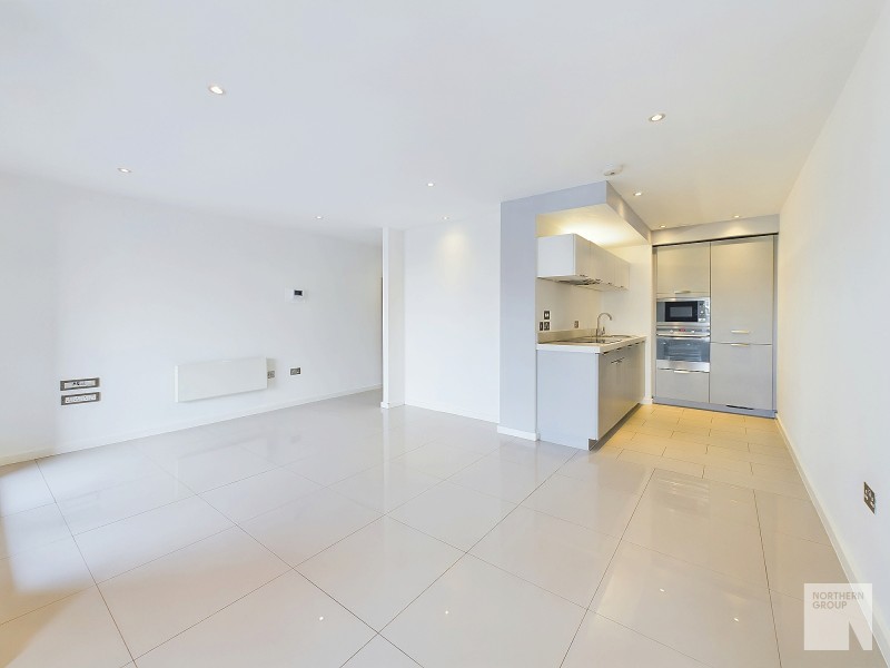 Apt 1.14 :: Ice Plant image 6