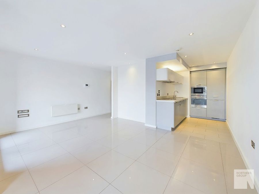 Apt 1.14 :: Ice Plant image 6