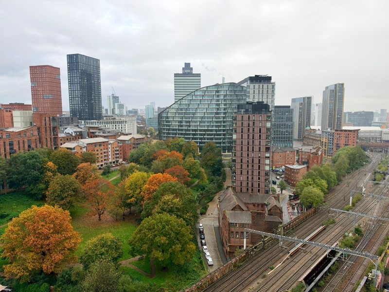 Crown View :: NOMA image 3