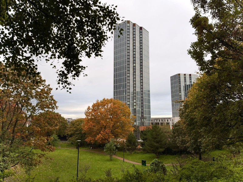 Crown View :: NOMA image 10