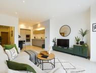 Apt 2.04 :: Ice Plant image 1