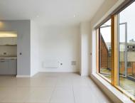 Apt 2.04 :: Ice Plant image 4