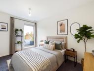 Apt 2.04 :: Ice Plant image 5