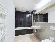 Apt 2.04 :: Ice Plant image 6