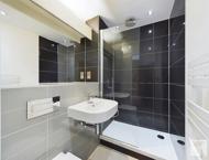 Apt 2.04 :: Ice Plant image 8