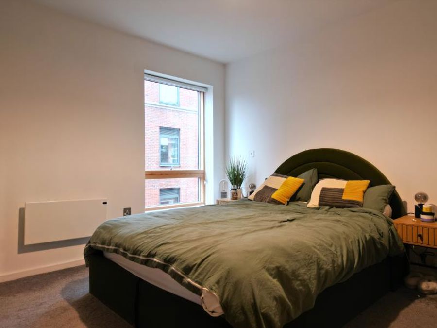 Apt 6.02 :: Ice Plant image 5