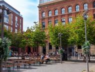 Apt 5.06 :: Ice Plant image 2