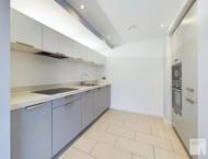 Apt 5.06 :: Ice Plant image 3