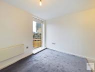 Apt 5.06 :: Ice Plant image 5