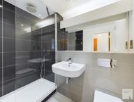 Apt 5.06 :: Ice Plant image 6