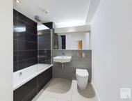 Apt 5.06 :: Ice Plant image 8