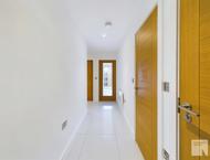 Apt 5.06 :: Ice Plant image 9