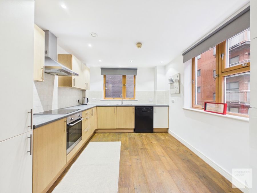 Northern Angel :: NOMA image 2