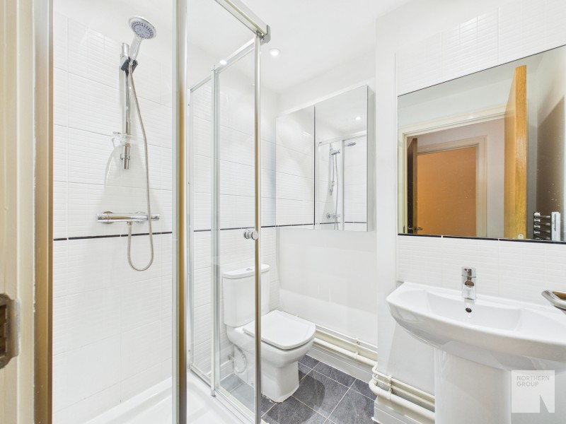 Northern Angel :: NOMA image 7