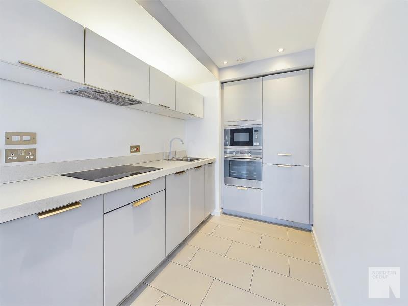 Apt 1.16 :: Ice Plant image 5