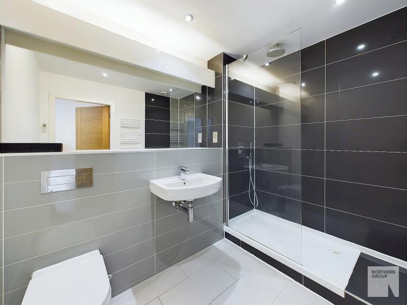 Apt 1.16 :: Ice Plant image 10